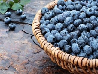 Ripe blueberries in a wicker basket on a stone floor.