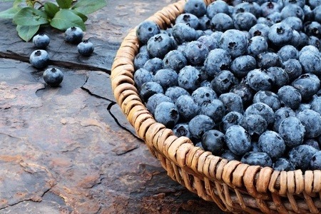 Ripe blueberries in a wicker basket on a stone floor.