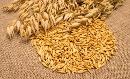 Diet supplements oat grain on canvas closeup