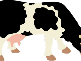 Pictogram of a cow illustrating full-fat dairy production.