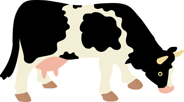 Pictogram of a cow illustrating full-fat dairy production.