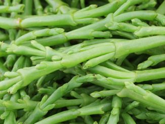 Fresh samphire - great with fish dishes.
