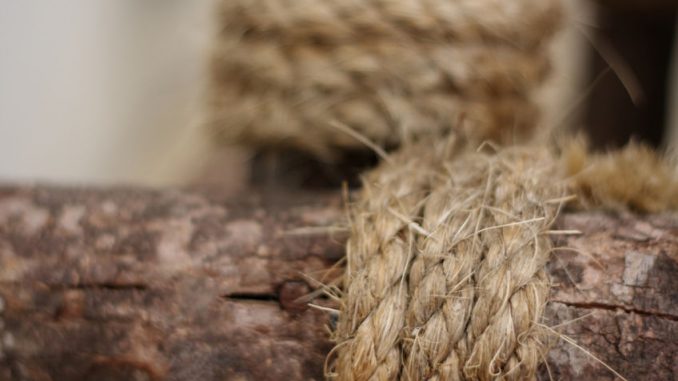 Kenaf in abstract background of blurred rope wrapped around log.