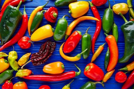 A selection of colourful chilli peppers on a blue table background.