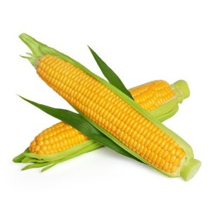 Sweetcorn or corn on the cob. Copyright: nevodka / 123RF Stock Photo