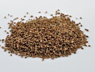 A small pile of celery seeds on a white background.