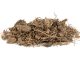 black cohosh root herb used in natural alternative herbal medicine over white background. used to treat menopausal and pre menstrual symptoms in women. actaea racemosa.
