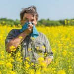 27724313 - man in field blowing his nose and suffering from hay fever.