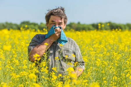 27724313 - man in field blowing his nose and suffering from hay fever.
