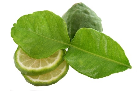 Garden picked kaffir lime for Asian dish, isolated on white background