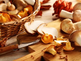 45809536 - preparing assorted fresh oyster or pleurotus mushrooms in the kitchen slicing them on a chopping board for healthy vegetarian autumn cuisine