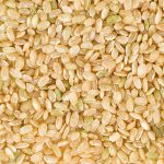 Filled frame of organic raw brown rice in horizontal format.