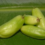 Averrhoa bilimbi fruit on a green leaf.