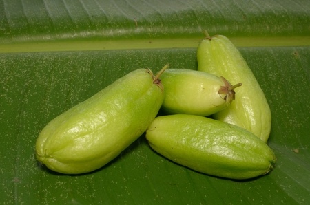 Averrhoa bilimbi fruit on a green leaf.