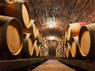 46720451 - rows of oak barrels in underground wine cellar