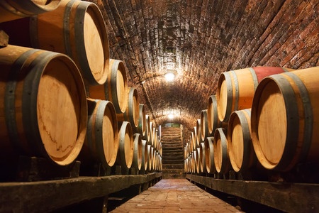 46720451 - rows of oak barrels in underground wine cellar