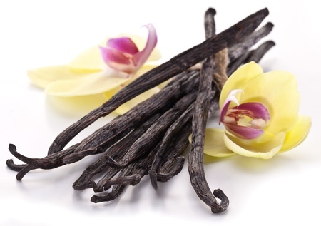 21860652 - vanilla sticks with a flower on a white background.