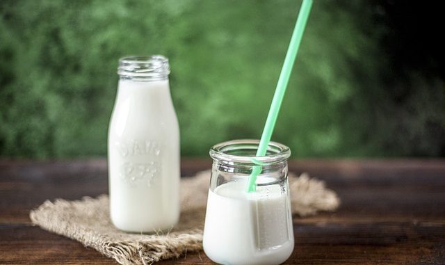 Milk and yogurt. A vehicle for microencapsulation of probiotics.