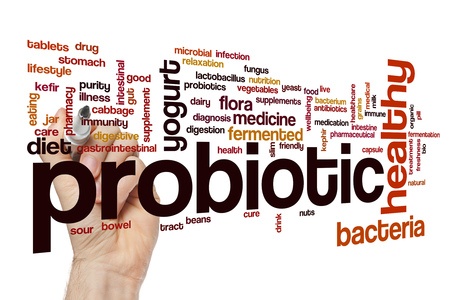 68092306 - probiotic word cloud