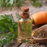 The essential oil of carrot seeds in a glass bottle on a wooden table.