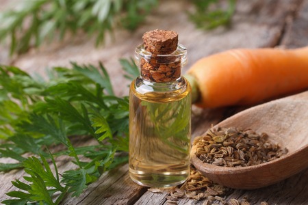 The essential oil of carrot seeds in a glass bottle on a wooden table.
