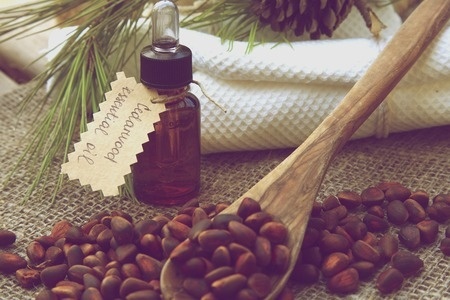 A dropper bottle of cedarwood essential oil. cedarwood nuts in front view