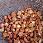 Betel nut or areca nut in basket for sale at market, Thailand.