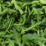 Fresh arugula, background from fresh green leaves in close up.