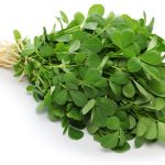 Methi, fenugreek leaves isolated on white background