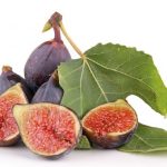 Isolated figs on a white background