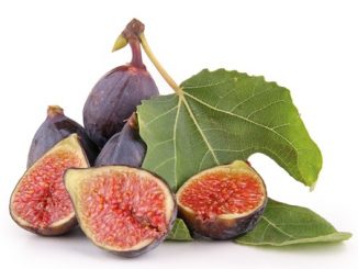 Isolated figs on a white background