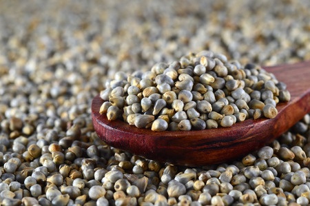 Close up of pearl millet (bajra) with wooden spoon.