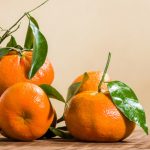 Ripe tangelos with green leaves on a wooden table