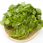 Watercress on a white background.