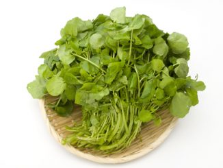 Watercress on a white background.
