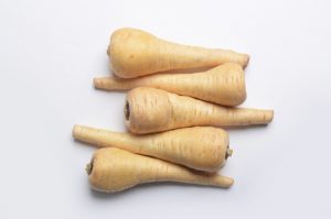 Raw parsnips, Pastinaca sativa, from directly above on white background