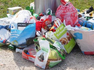 Food waste and garbage in bags