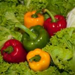 Vegetables on a bed of lettuce
