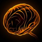 Image of a brain picked out in orange on a black background. View from side and top. alcohol could benefit brain.