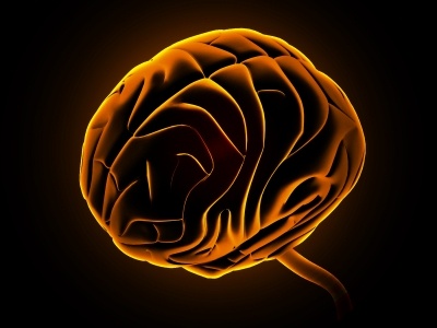 Image of a brain picked out in orange on a black background. View from side and top. alcohol could benefit brain.