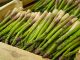 Asparagus spears in a box Effect on breast cancer cells.