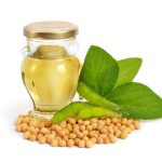 Soybean oil in a bottle with green pods and leawes. Isolated on white backgraund.