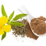 Damiana flower and damiana dried leaves and powder isolated on white background from above. flat lay.