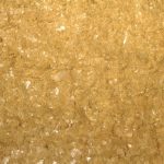 Very shiny carnauba wax