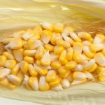 Sweetcorn kernels lying in a corn sheath.