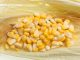 Sweetcorn kernels lying in a corn sheath.