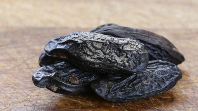 Fragrant tonka beans, for baking and desserts