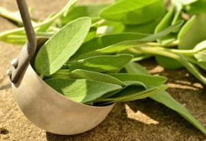 Sage leaves in a copper ladle.