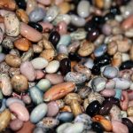 Beans (legumes, pulses) in full view.