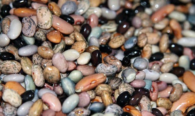 Beans (legumes, pulses) in full view.